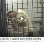 “I Don’t Understand”: Prison Video Exposes Abuse of Writer Demetrius Buckley