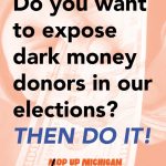 Sign or Circulate the MMOP (Michiganders for Money Out of Politics) Petition