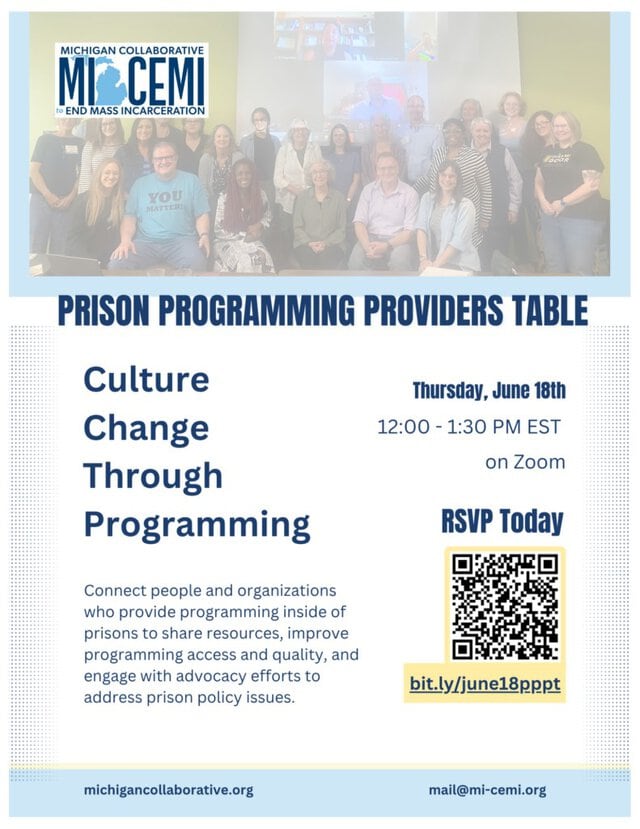 MI-CEMI Quarterly Programming Providers Table
